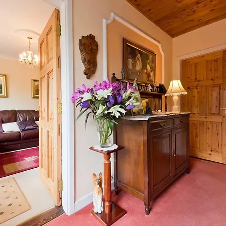 B&B Teach Cuailgne 3*